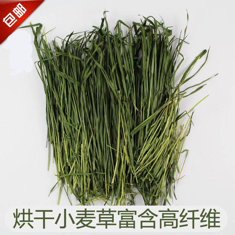 20 20 years drying wheat straw rabbit grain rabbit dragon cat Dutch pig herd wheat miao hay wool heavy 1000 grams