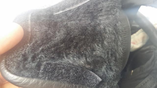 20160907_071727.jpg