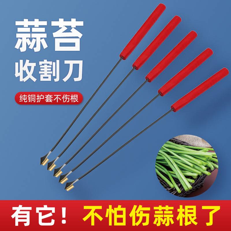 Garlic moss harvesting knife, garlic moss artifact, garlic table tool, scraping, stripping, garlic moss artifact, garlic harvesting knife