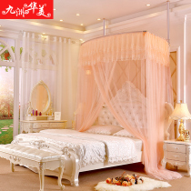 Mosquito Net 1 8m bed double home without installation lifting telescopic three doors thick encryption Princess wind 2020 New