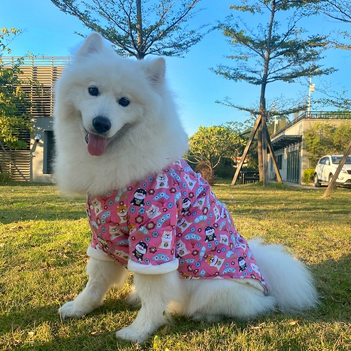 Пехой собаки Новый год Одежда осень и зимние торчащие усебные