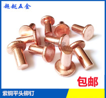 Copper flat head rivet copper solid rivet Pure copper flat cap willow nail percussion rivet M2M2 5M3M4M5M6M8