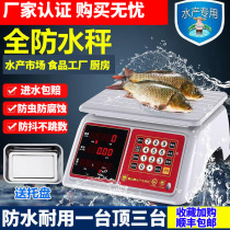 Xiangshan brand electronic scale waterproof seafood and aquatic products special scale pricing scale commercial bench scale 30kg waterproof scale