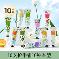 300 мл [10 установок]