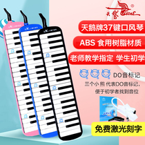 Swanmouth organ 37 key children beginners students with adult teaching professional playing competition harmonica instrument