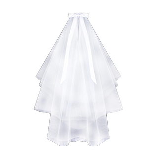 Veil, marriage certificate, marriage proposal registration, sweet fluffy veil