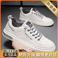 Белый [обновление] ..