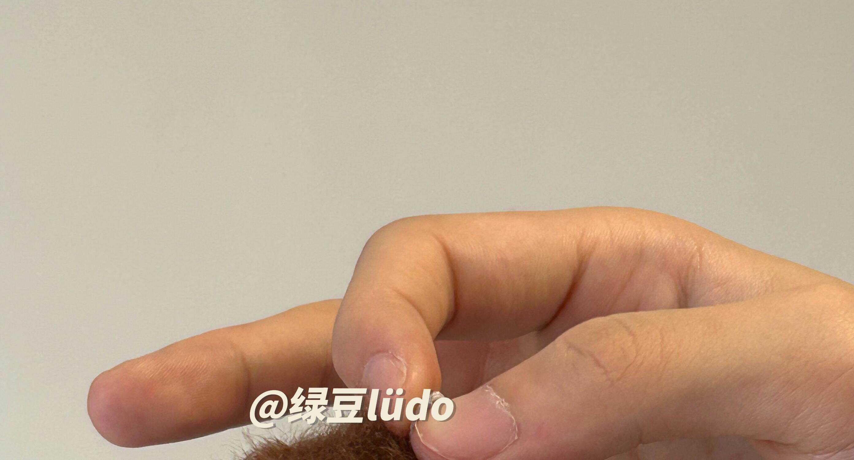 LUDO Bald Fruits Hairy Coconut Plush Keychain detail image
