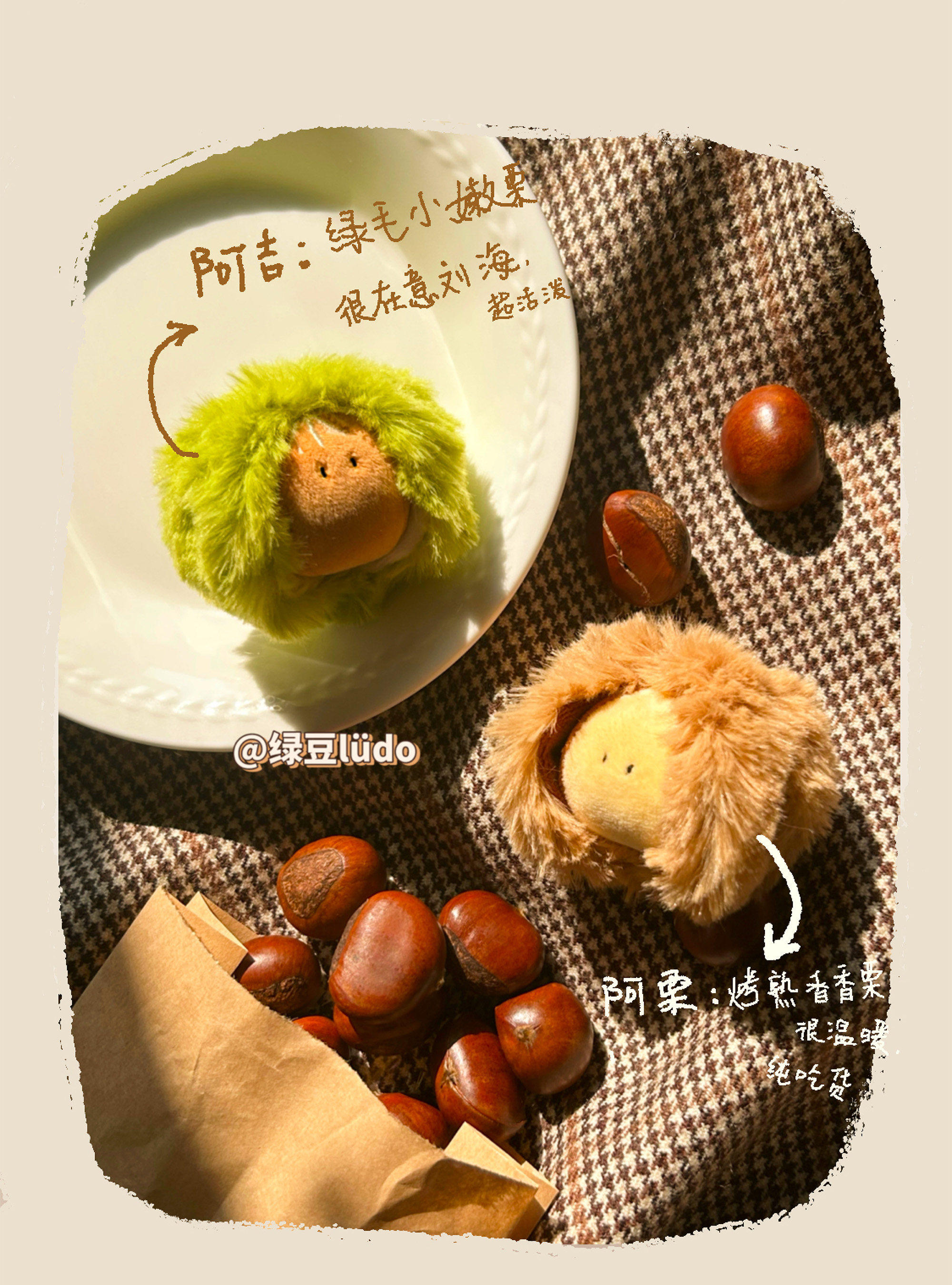 LUDO Bald Fruits Chestnut Plush Keychain detail image