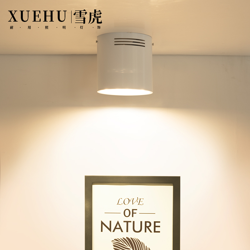 Clear fit small spotlight LED ceiling lamp cylinder light single light living room ceiling suction top Nordic cob track spotlight