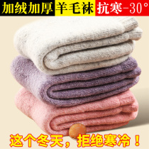 3 double-plaste Fentin Fluidized Wool Sox Wool Circle Warm Socks Female Cotton Sox Sleeping Socks