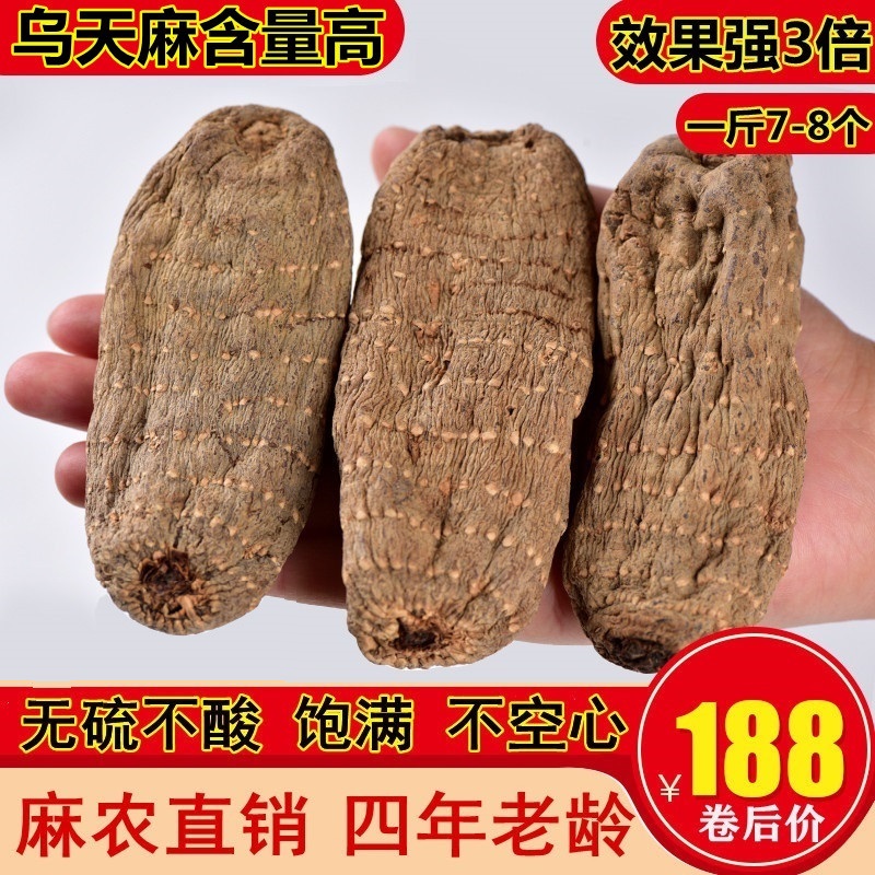 Wu Tianma King Yunnan Zhaotong Xiaocaoba 500g Fresh Dry Goods Restore Wild Premium Traditional Chinese Medicine Slice Grinding Powder