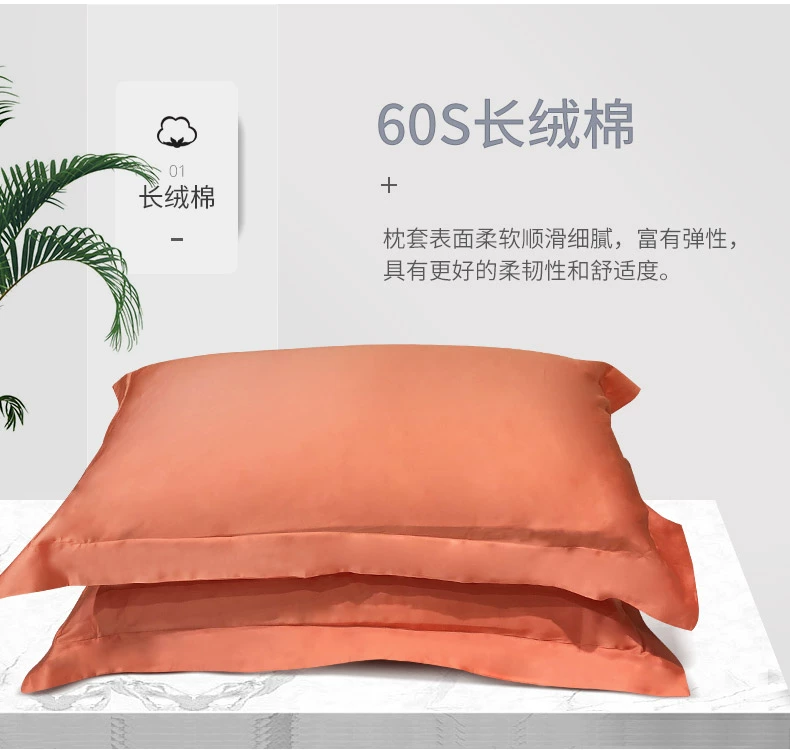 Gối bông nam cực đôi gối in bông gối đơn sinh viên gối ký túc xá 48x74cm - Gối trường hợp