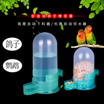 Water bottle pigeon supplies parrot feeder bird kettle bird feeder pigeon drinking fountain automatic water feeding