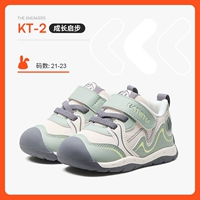 Зеленый рис