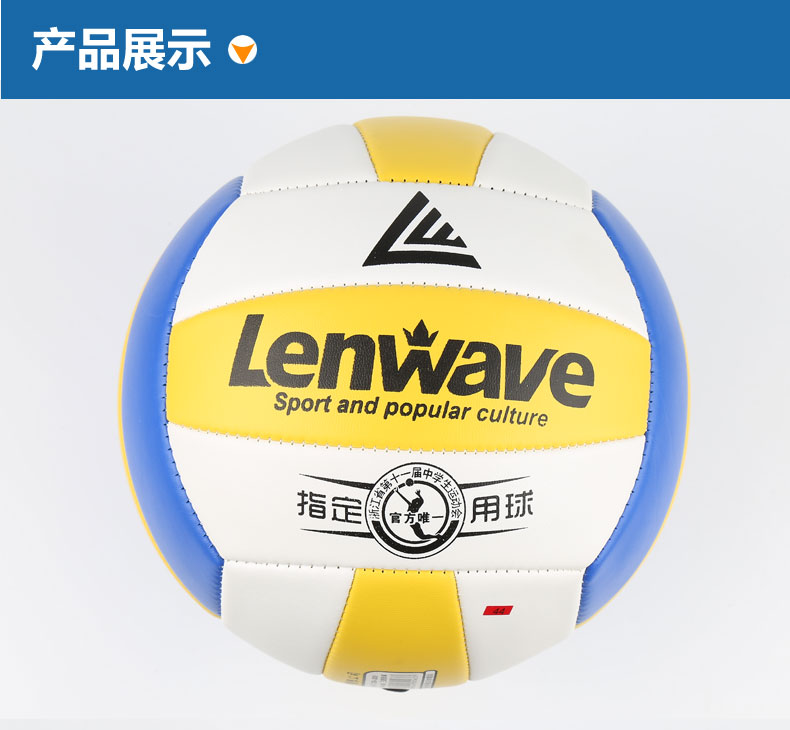 Ballon de volley - Ref 2009847 Image 25