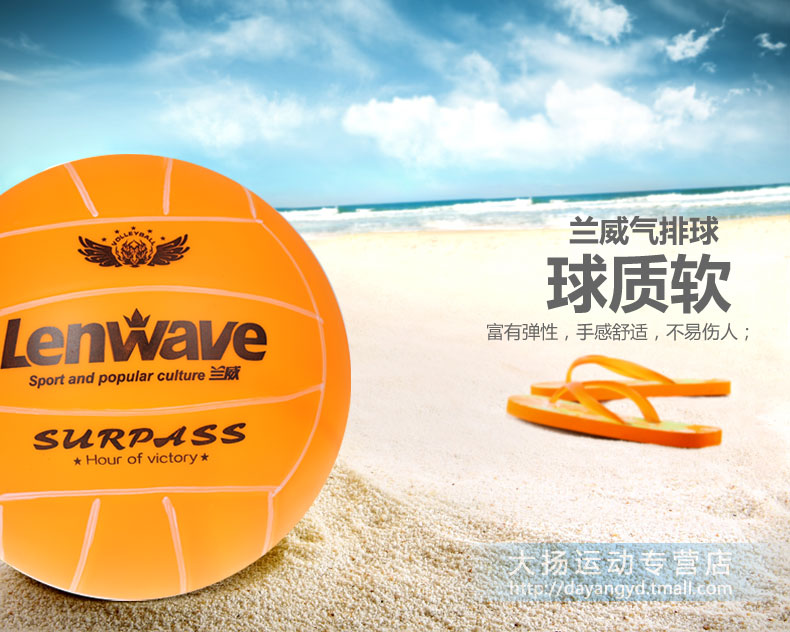 Ballon de volley - Ref 2007995 Image 13