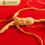 康象 Сертификат генсэра Горна Чанбай Гинзенцен