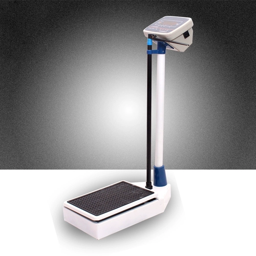 Электронная масштаба веса высоты.