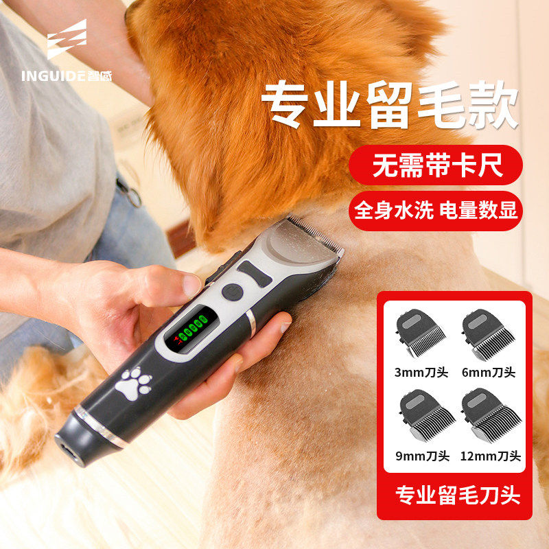 Wise professional Remain to the dog Shaving Machine Pet Electric Pushcutting Large Dog Sheen Dog Hair Pushers Demagogie Pushers