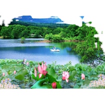 Newborn baby name test name change