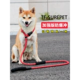 Средняя крупная цепь собак Ходьба собачья веревка P Цепная P -веревка плюс длинный взрыв собаки -надежная сцепление с золотой шерстью лабрадо