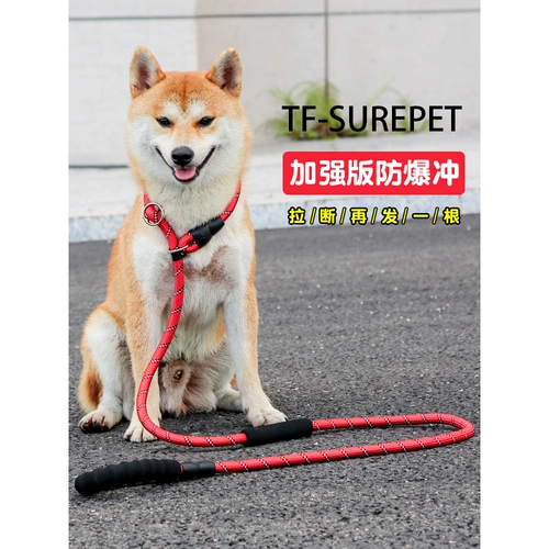 Средняя крупная цепь собак Ходьба собачья веревка P Цепная P -веревка плюс длинный взрыв собаки -надежная сцепление с золотой шерстью лабрадо