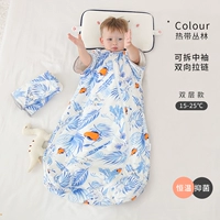 Тропический тропический лес