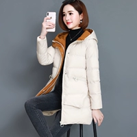 Бежевый (ниже 90 кот)