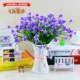 3 кровати фиолетового Phalaenopsis B коробки