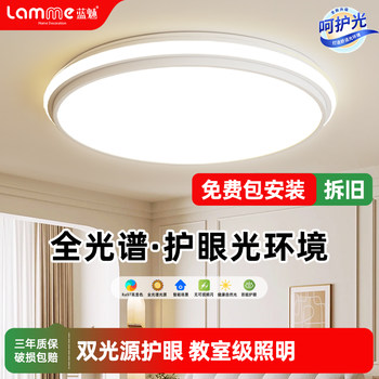 Bedroom Lamp Modern Minimalist Led Ceiling Lamp Study Master Bedroom Full Spectrum Eye Protection Boys and Kidsren's Room Lamps