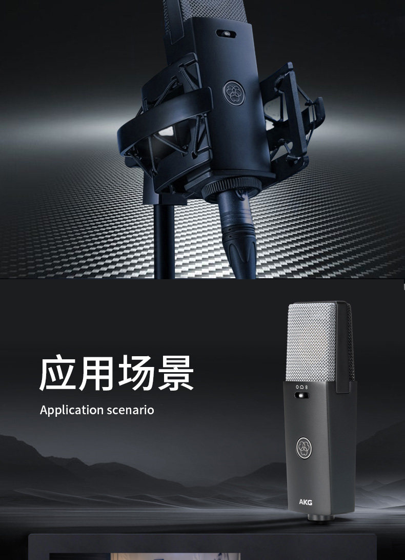 AKG爱科技C114大振膜电容麦克风 专业人声乐器配音有声书录音话筒