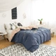 Chăn bông chăn đơn đặt mảnh mùa xuân bông 200x230 đơn đôi chăn che 180x220x240 - Quilt Covers chăn điều hòa