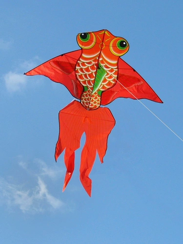 Красный воздушный змей для взрослых, карп