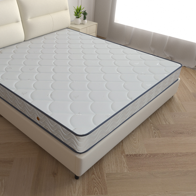 Coconut palm mattress 1 5 m brown cushion 1 8 m fine steel spring mattress double mat Dream Thunder and brown mattress