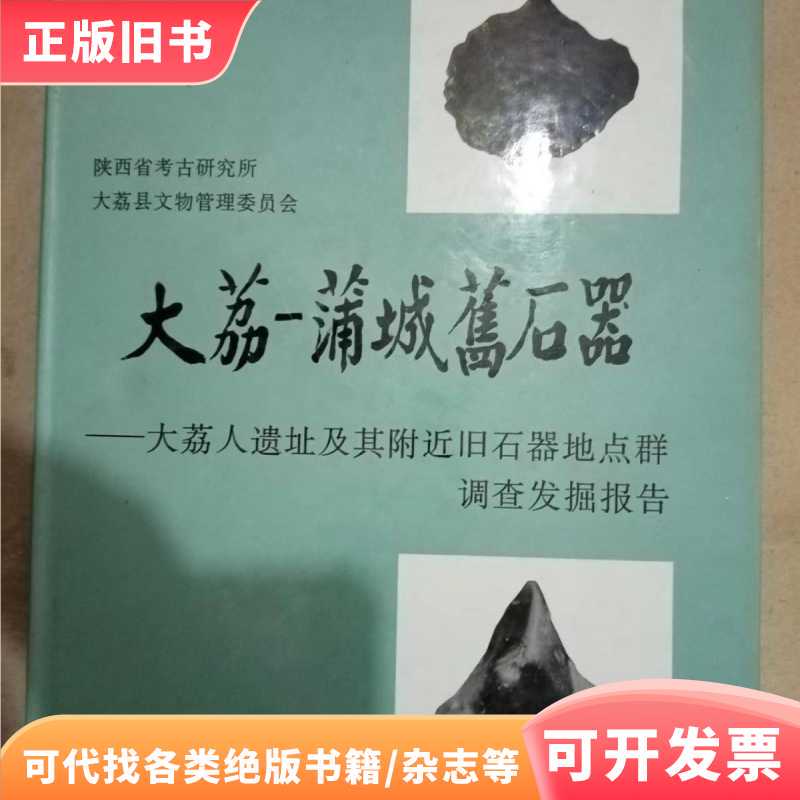 Old Stone Age Sites in Dali-Pucheng: a Report on the Investigation and Excavation of the Dali People's Site and the Surrounding Group of Old Stone Age Sites ( Old Stone Age Sites in Dali-Pucheng: a Report on the Investigation and Excavation of the Dali People's Site and the Surrounding Group of Old Stone Age Sites (