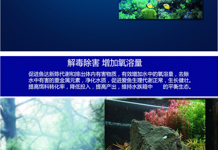 Неизвестно -1_09.jpg