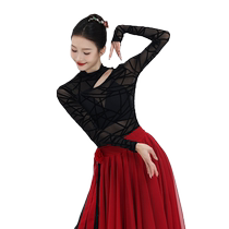 Fubo classical dance costume small stand-up collar gauze practice suit mesh body training suit body rhyme flocking top for women