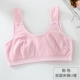 Cô gái bông thời kỳ phát triển đồ lót vest học sinh trung học cơ sở ống top 12/14/16 tuổi không có áo ngực thép