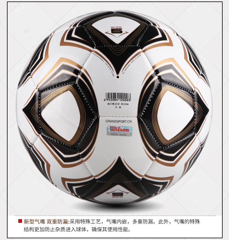 Ballon de football - Ref 7481 Image 14