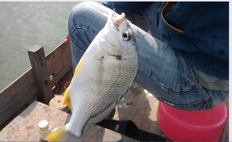 Море удочкой 光威海竿远投套装帕鲁斯投2.7/3.0/3.6米超硬调碳素远抛投钓鱼竿 GW