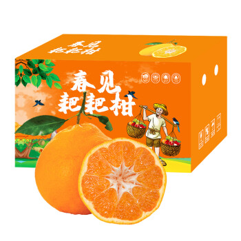 P Boutique authentic Sichuan Meishan Chunjian raked tangerines fresh fruits picked fresh oranges oranges