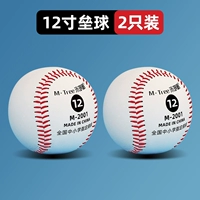 12 -инд -софтбол 2