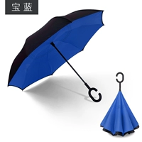 Руководство Royal Blue 【Инспекция в течение одного года】