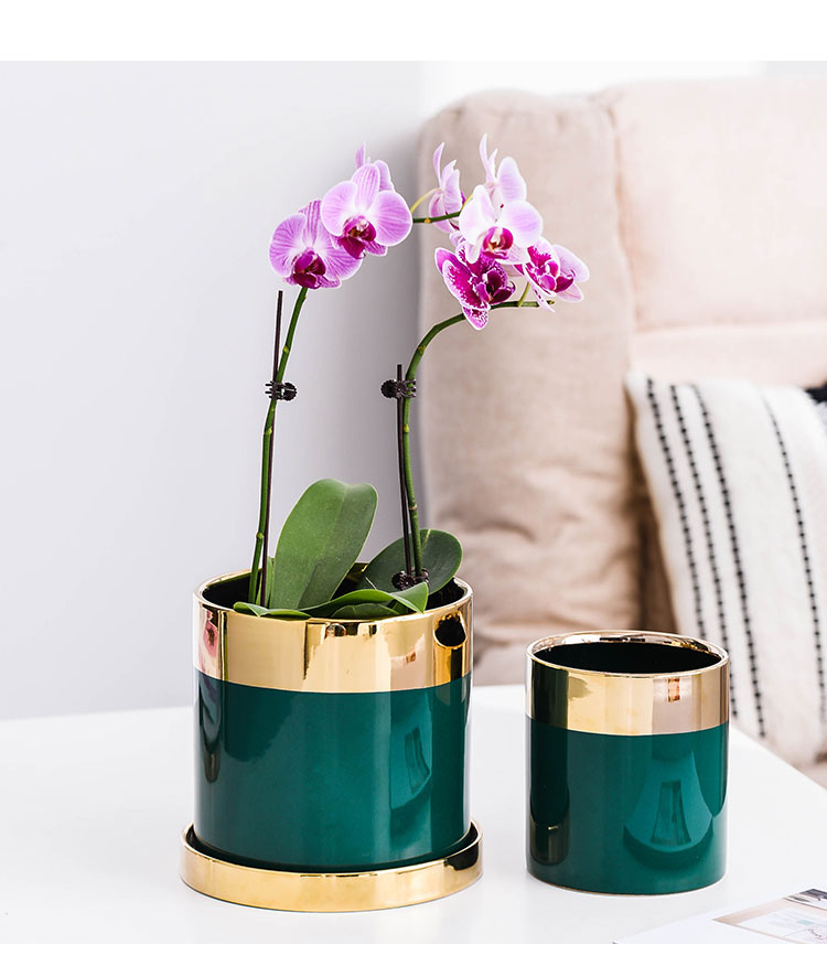 Chậu gốm Phnom Penh Nordic Light ngọc lục bảo sang trọng mạng gia đình cá tính sáng tạo của khay màu đỏ với một bình hoa và cây xanh bình thủy tinh cắm hoa