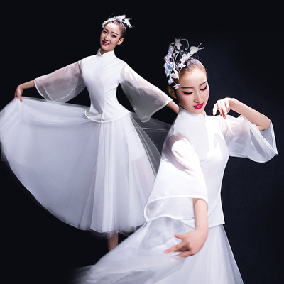 Chinese Folk Dance Costumes Classical Dance Costume Fairy Umbrella Dance Sleeve Dance Modern Dance Costume Adult Women