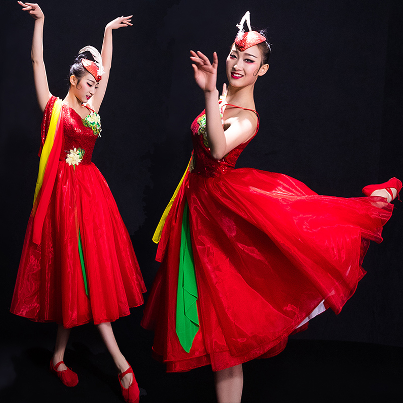 Chinese Folk Dance Costumes Classical Dance Costume Female Song Accompanied Dance Skirt Opening Dance Modern Dance Costume Adults