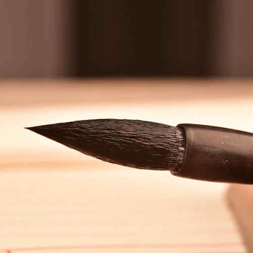 俞唐 Профессиональная каллиграфия волчья овечь