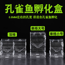 Acrylic guppy breeding box maternity room incubator small fish separator aquarium fish tank spawning box isolation box