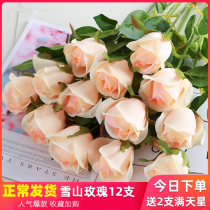Simulation Rose set silk flower fake flower plastic flower living room decoration flower single ornaments bouquet floral decoration
